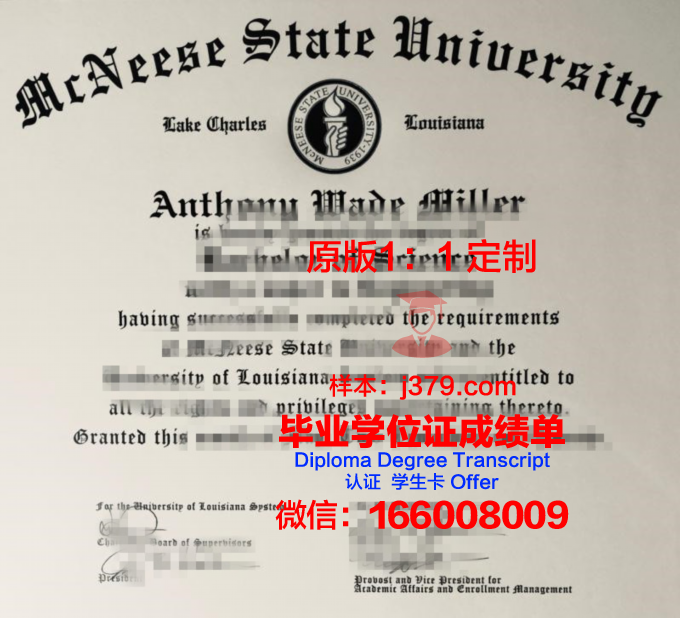 麦克尼斯州立大学 diploma 毕业证
