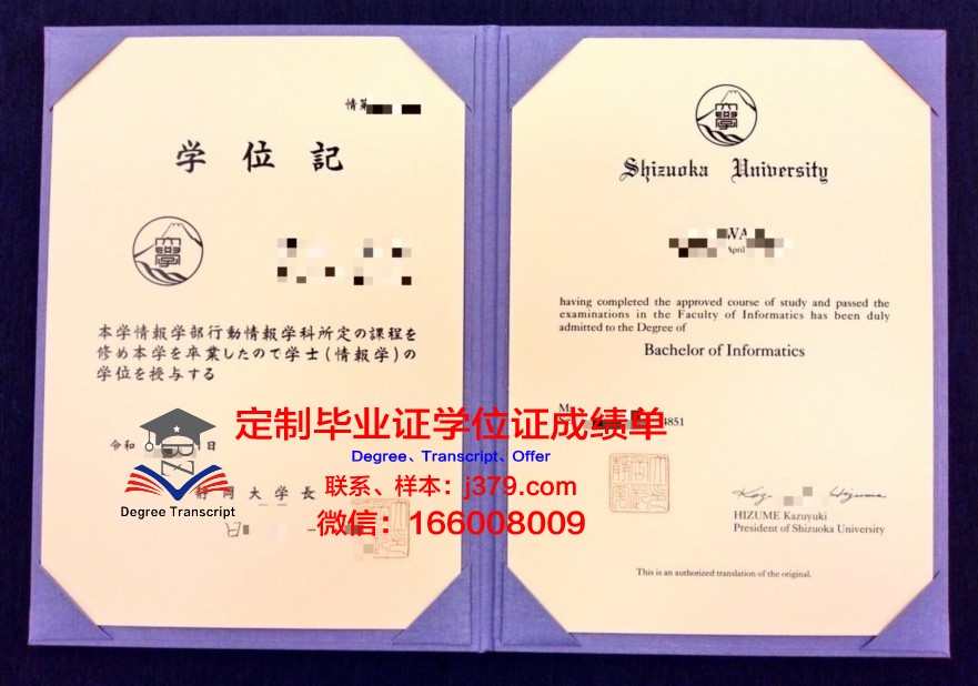 静冈理工科大学本科毕业证：一份跨越国界的学术荣耀