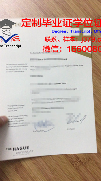 瓦萨应用科学大学毕业证(瓦萨学院申请条件)