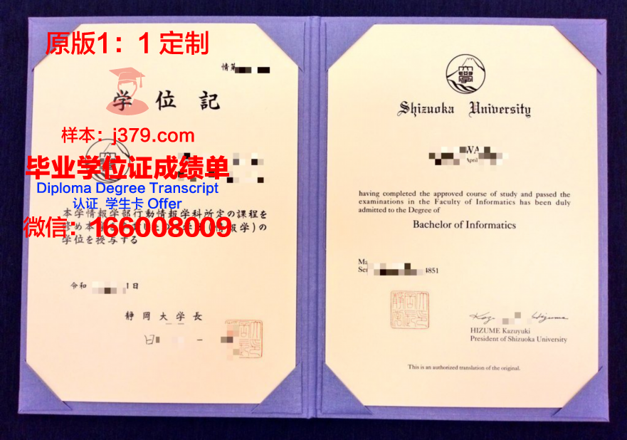 静冈县立大学毕业证丢失怎么补办