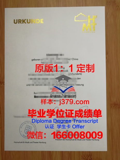 汉堡造型艺术学院毕业证外壳(汉堡造型图片)