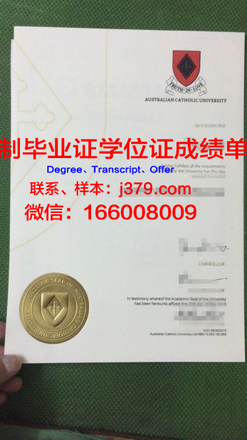 鲁汶天主教大学成绩单(比利时鲁汶天主教大学qs)