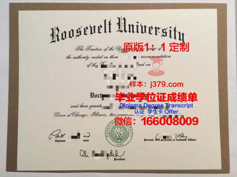 鲍曼博士毕业证：一张纸背后的故事