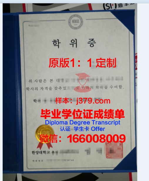 鲍曼本科学位证：一张通往未来的通行证