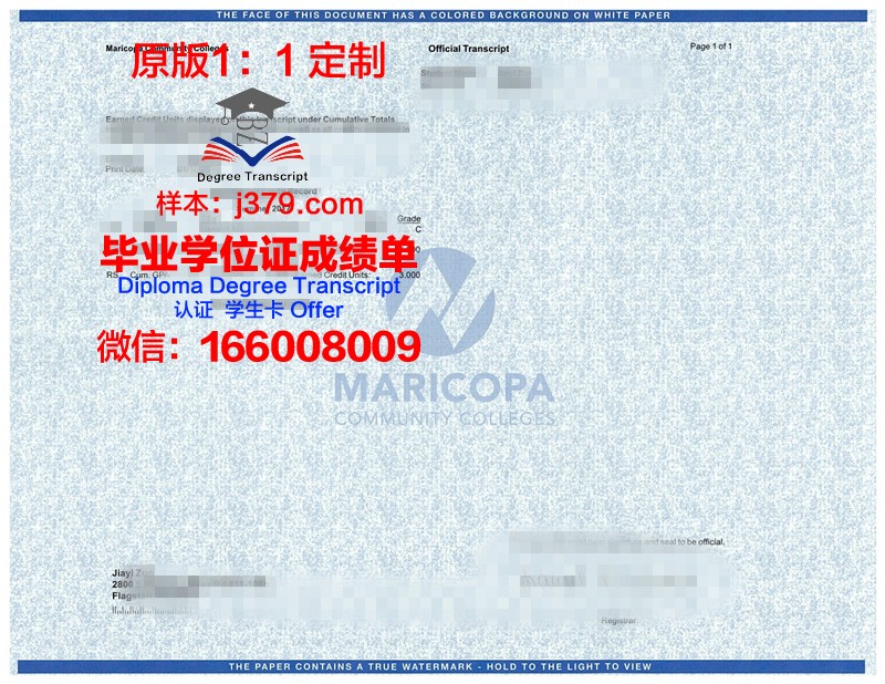汉肯经济学院的毕业证都能做(汉肯经济学院世界排名)