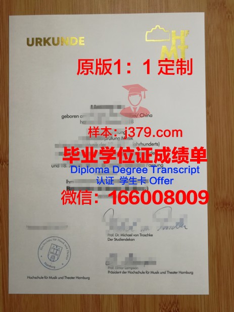 汉堡U毕业证：一份跨国教育的荣誉证书