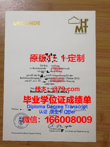 汉堡工业大学毕业证图片(汉堡大学的学生)
