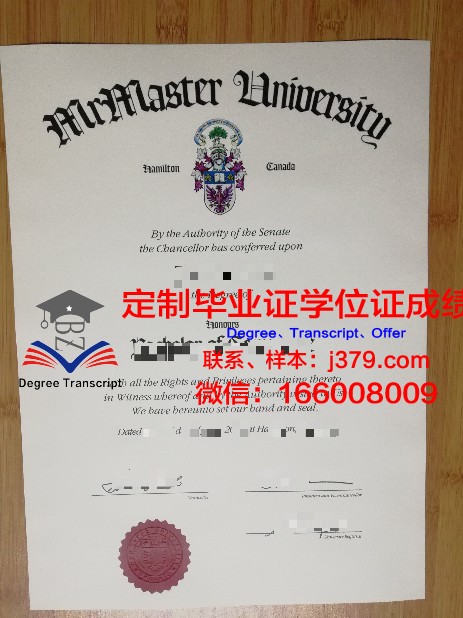 麦克大成绩单：揭示成长之路的启示录