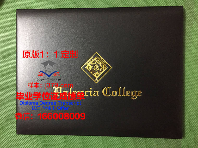 瓦伦西亚欧洲大学毕业证书图片高清(瓦伦西亚大学相当于国内什么大学)