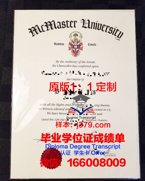 麦克马斯特考试成绩单(麦克马斯特大学高考成绩要求)