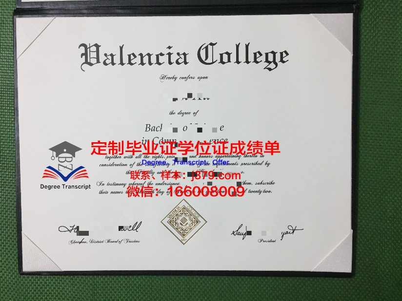 瓦伦西亚欧洲大学毕业证书图片高清(瓦伦西亚大学相当于国内什么大学)