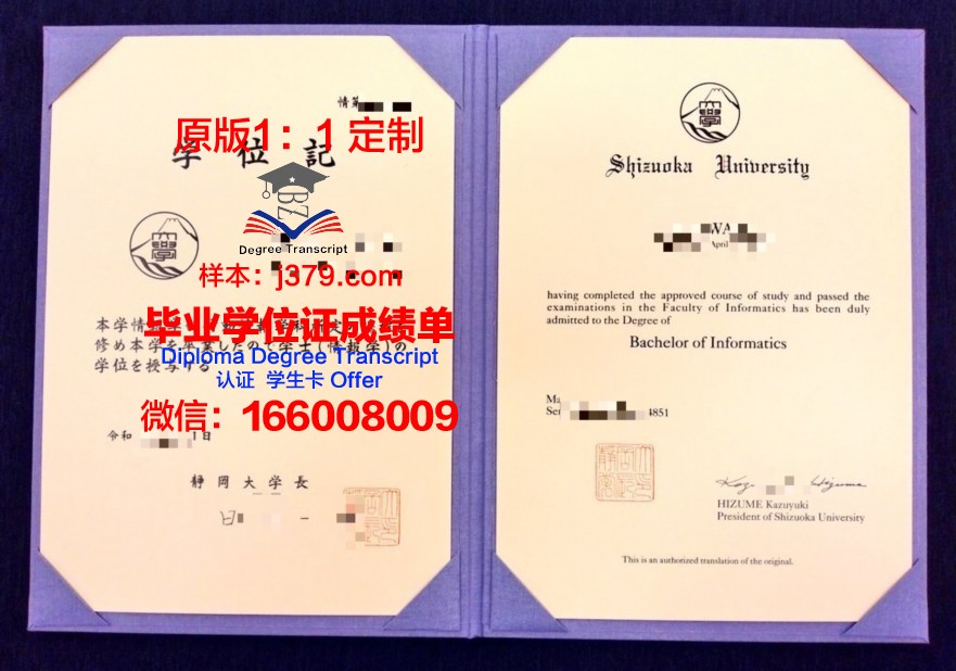 静冈县立大学毕业证丢失怎么补办