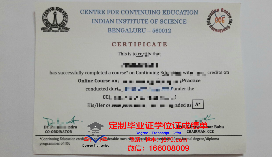鲁昂国立应用科学学院毕业证图片(鲁昂esigelec工程师学院)