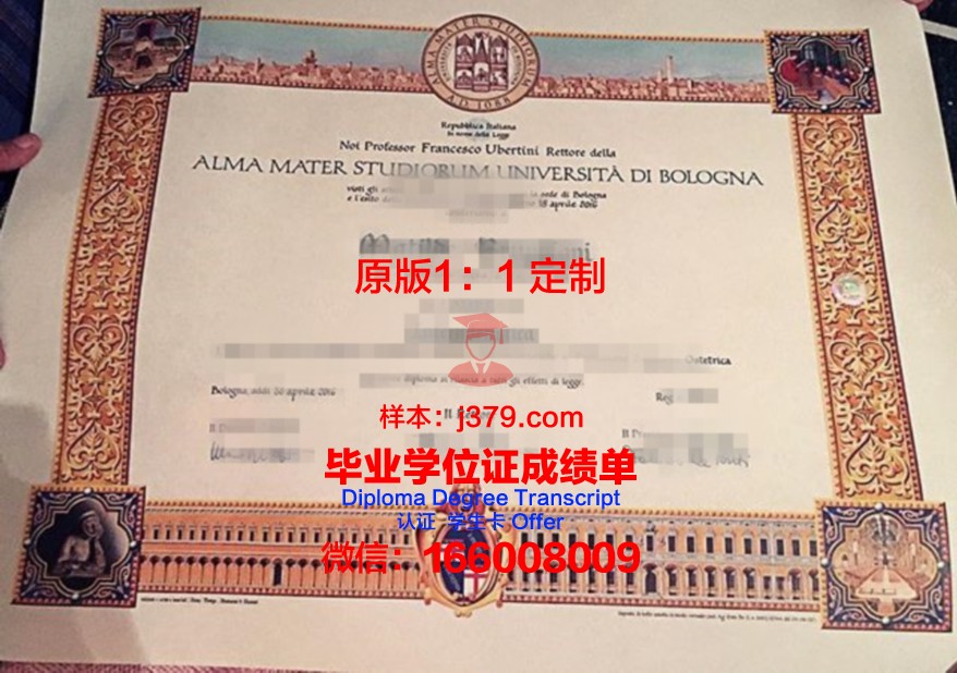 萨沃尼亚应用科学大学毕业证翻译(萨沃尼亚理工大学)