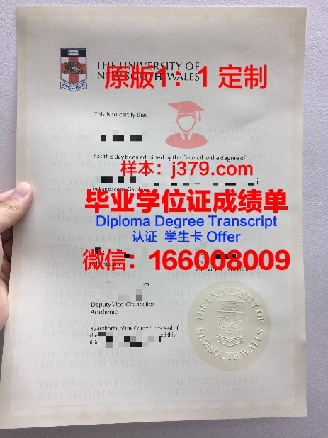 瑚山大学本科毕业证：一张纸的重量