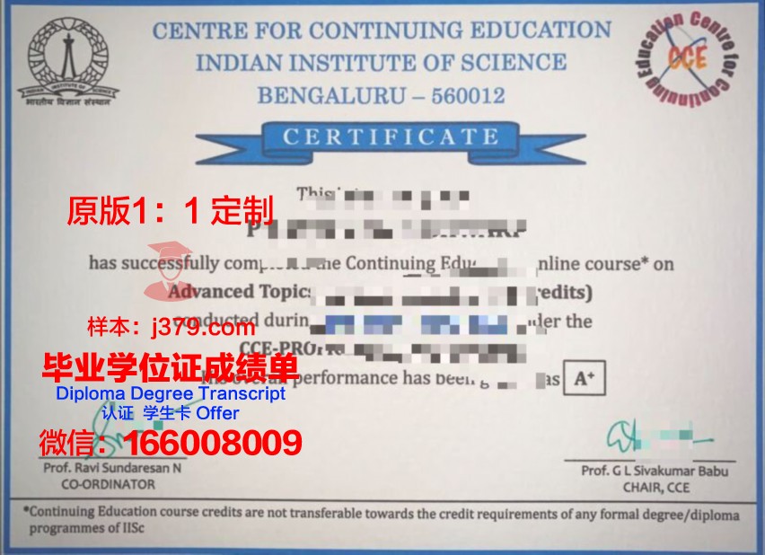 鲁昂国立应用科学学院毕业证Diploma文凭成绩单