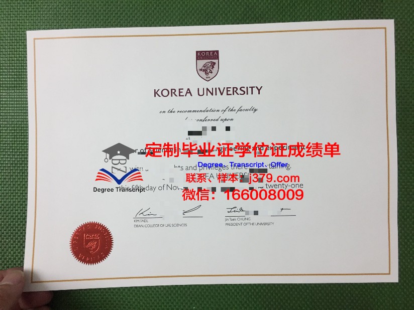 韩国理工I大学本科毕业证：开启国际化就业与学术研究之路
