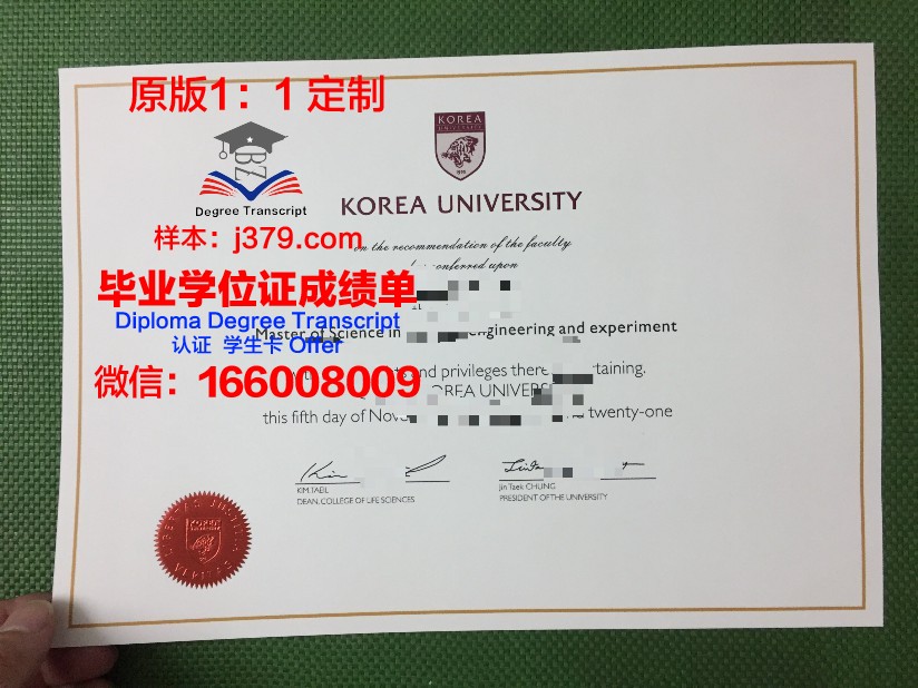 韩国广播通信大学硕士毕业证：跨越国界的学术成就与职业发展新篇章
