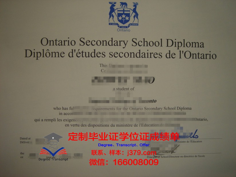 现代人文学院毕业证书模板(人文学院毕业就业方向)