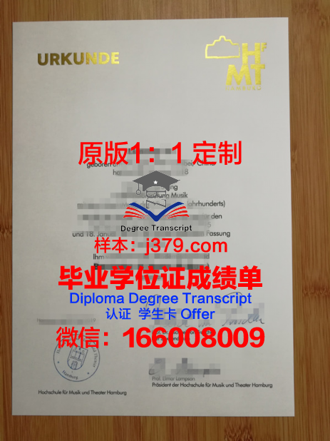 汉堡应用技术大学毕业证书什么颜色(汉堡应用技术大学qs)