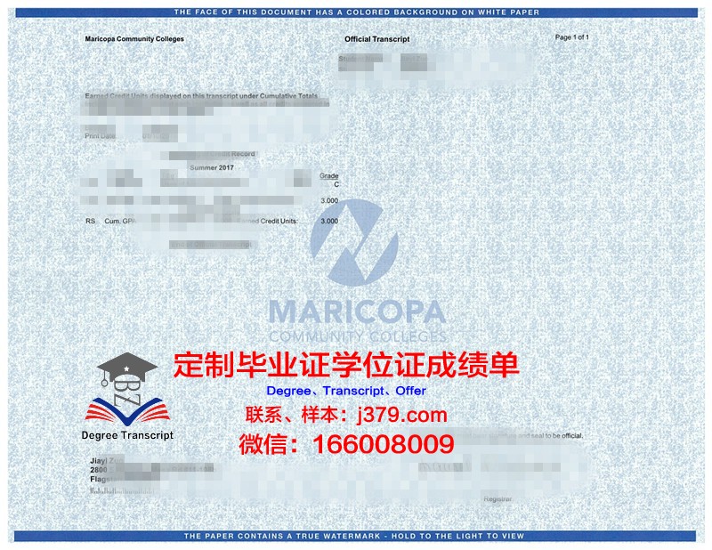龟尾大学学位成绩单定制：揭开学术诚信的遮羞布