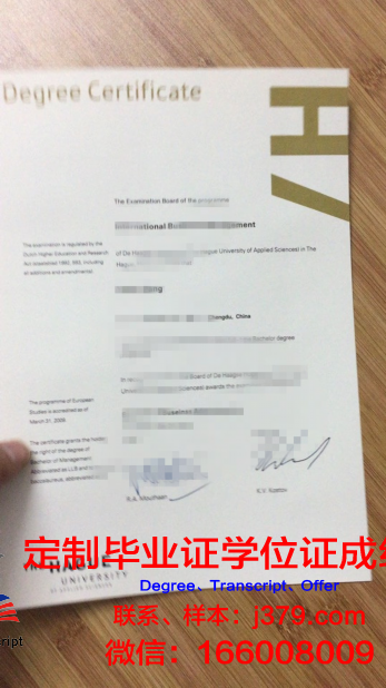 瓦萨应用科学大学毕业证图片(瓦萨应用科学大学毕业证图片高清)