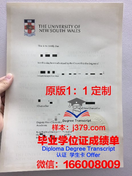俄大硕士毕业证：跨文化视野下的学术荣耀与挑战
