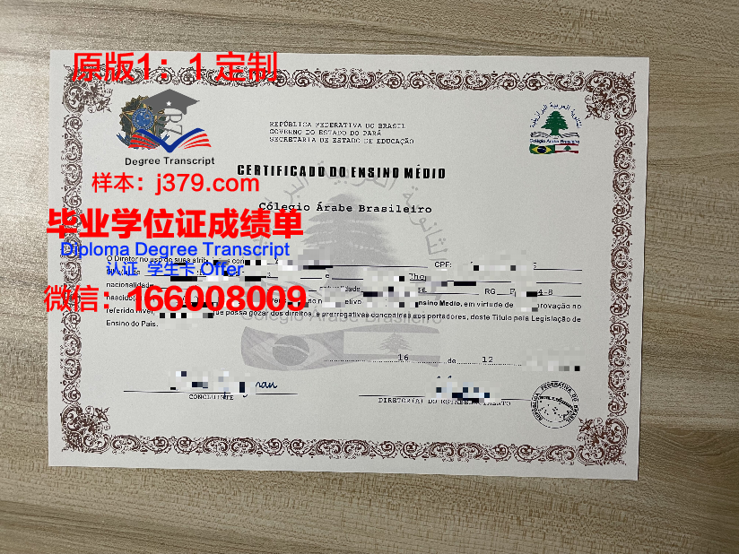 瓦加斯基金会巴西公共与企业管理学院毕业证尺寸
