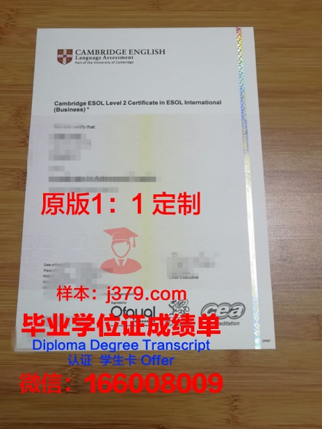 沙利文大学研究生毕业证书(沙利文教授)