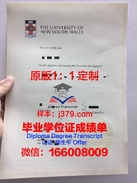 麦肯锡长老会大学研究生毕业证(麦肯锡juniorresearchanalyst)