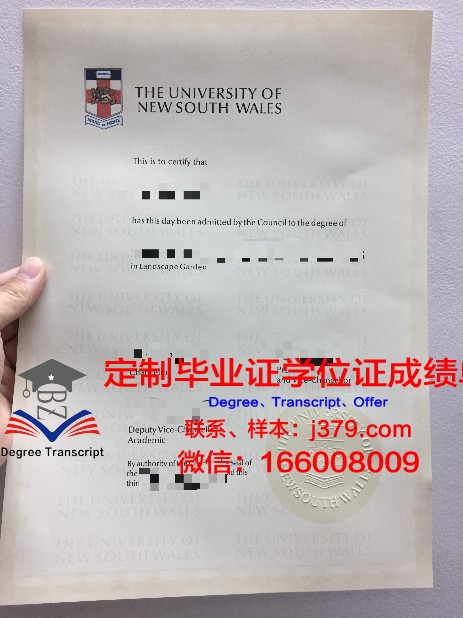 麦当娜大学毕业证是什么模样(麦当娜很出名吗)