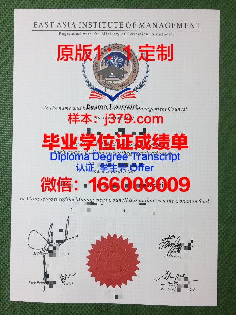 沃尔什会计与工商管理学院毕业证书图片模板(沃尔斯商学院)