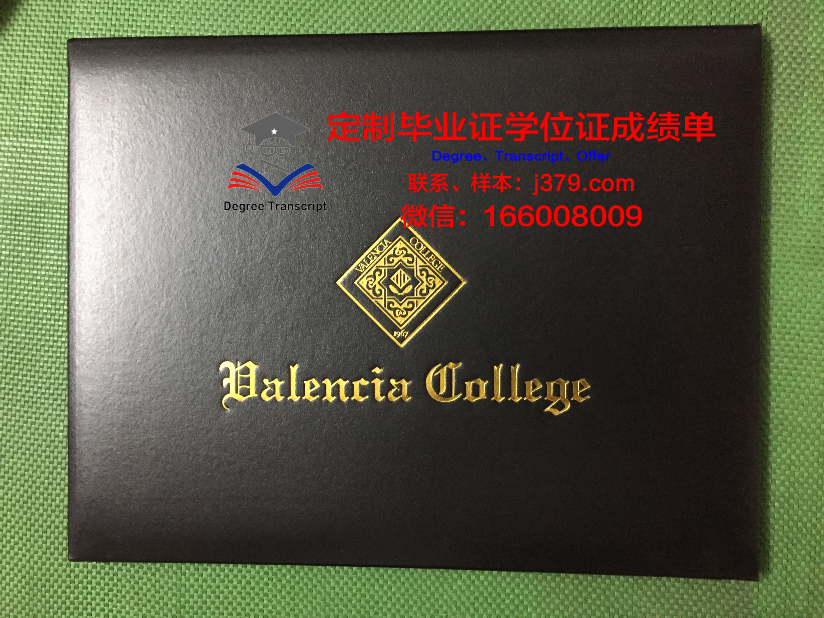 瓦伦西亚理工大学毕业证书图片高清(瓦伦西亚理工大学世界排名)