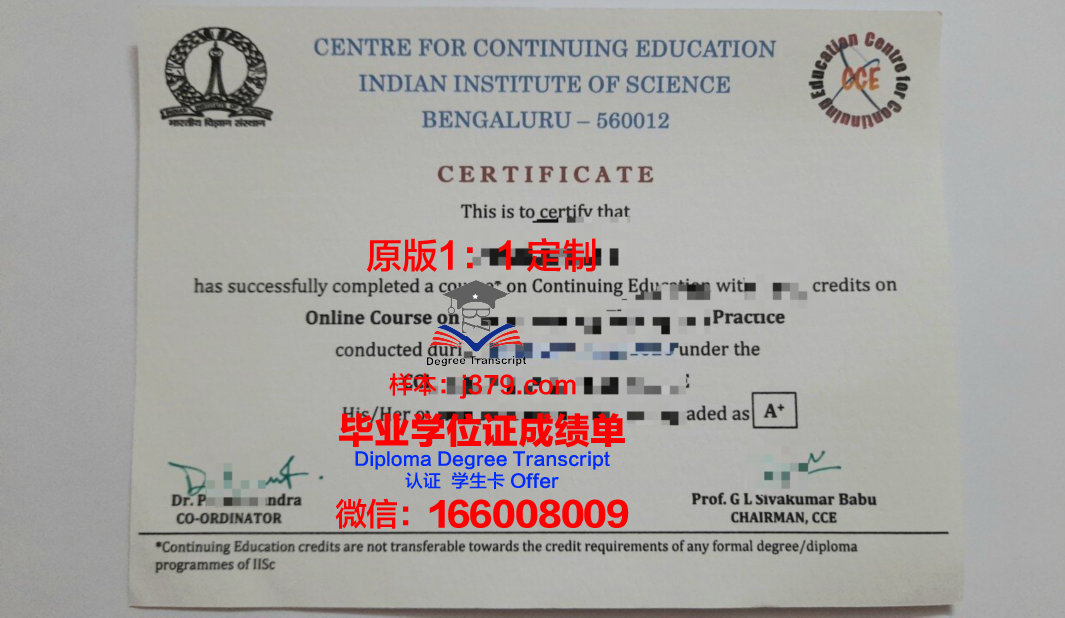 鲁昂国立应用科学学院diploma证书(鲁昂esigelec工程师学院)