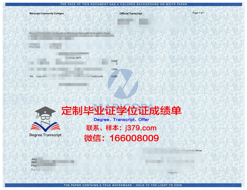 沃罗涅日国立大学成绩单：学术卓越的见证