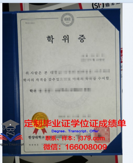 麦基尔学位证成绩单：一张纸背后的故事