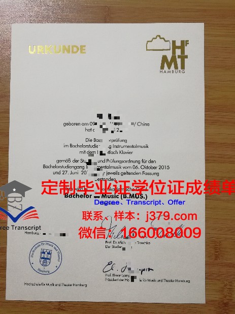 汉堡大学毕业证样式(汉堡大学本科)