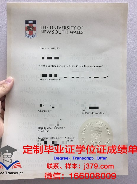 韩东大学硕士毕业证：一张证书背后的故事与价值