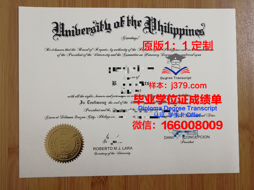 菲律宾大学毕业学位