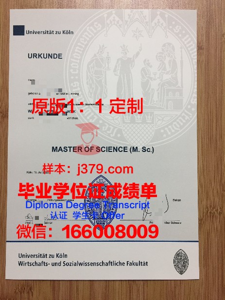 萨尔布吕肯工程与经济应用技术大学文凭(德国萨尔布吕肯怎么样)