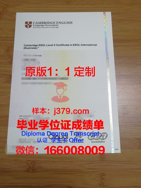 汉语言学士学位证书图片：承载知识与荣耀的见证