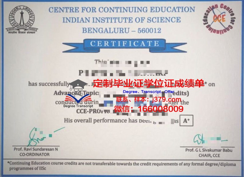 鲁昂国立应用科学学院diploma证书(鲁昂esigelec工程师学院)