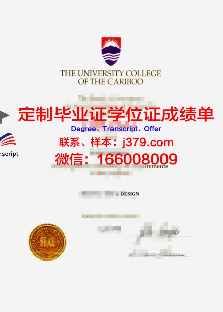 沙希德佐勒菲卡尔·阿里·布托科技学院硕士毕业证书样本