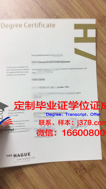 瓦萨应用科学大学毕业证样本(瓦萨应用科学大学毕业证样本图片)