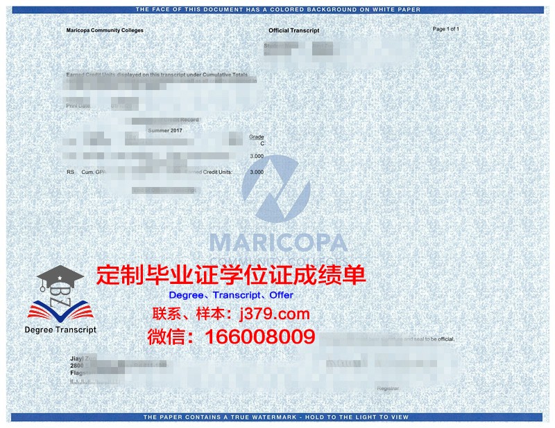 奥芬巴赫设计学院毕业学位