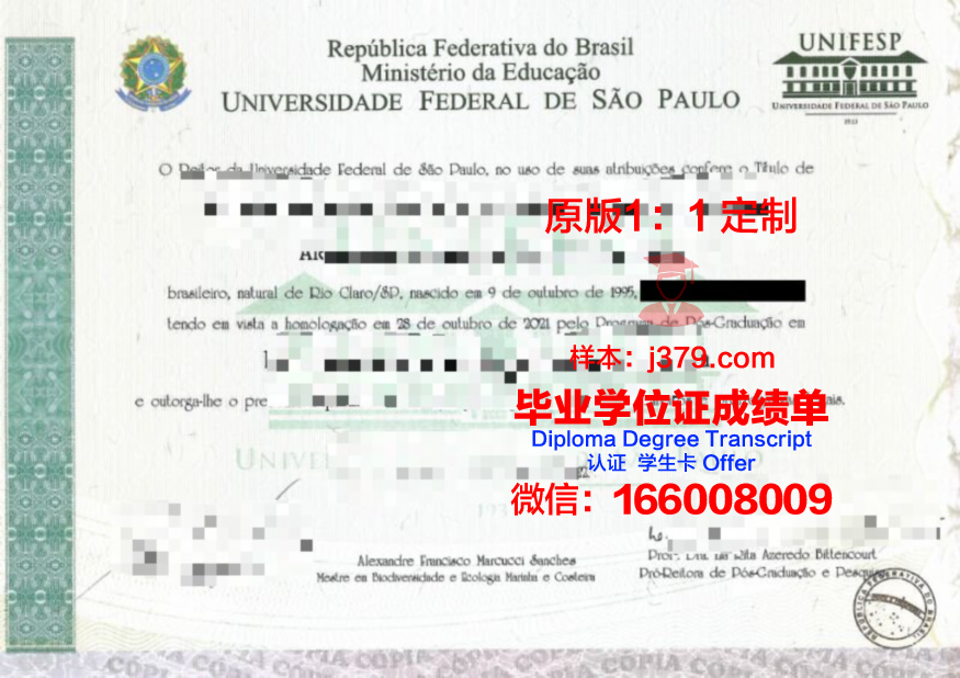 瓦加斯基金会圣保罗经济学院本科毕业证：一份国际认可的学术荣誉