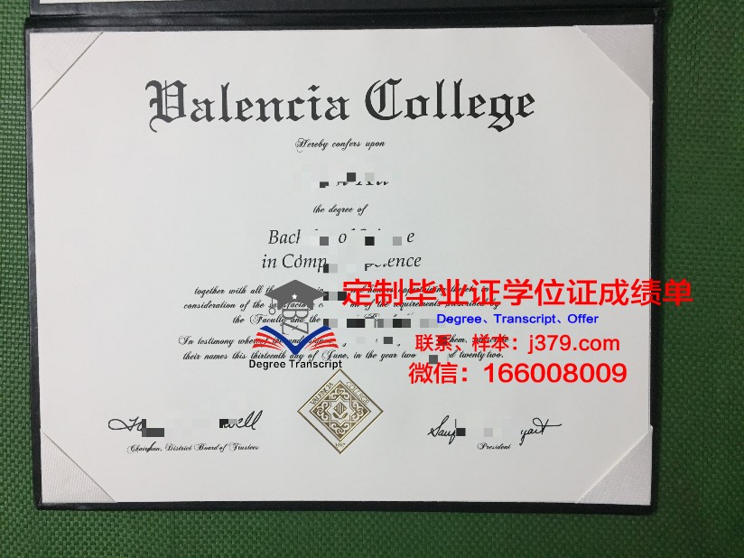 瓦伦西亚理工大学毕业证是什么样子(瓦伦西亚大学怎么样)