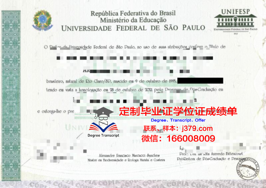 瓦加斯基金会圣保罗工商管理学院成绩单：探秘巴西商业教育的翘楚
