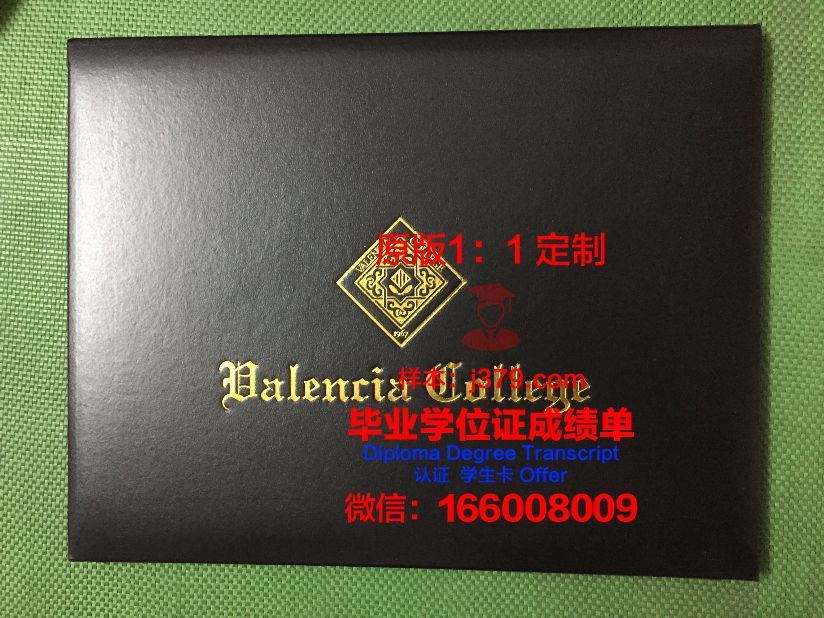 瓦伦西亚学院毕业证定制：匠心独具，见证学子成就