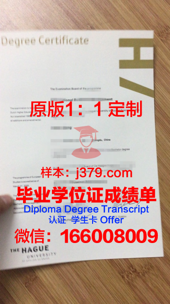 瓦萨应用科学大学学历证书(瓦萨应用科学大学学历证书图片)